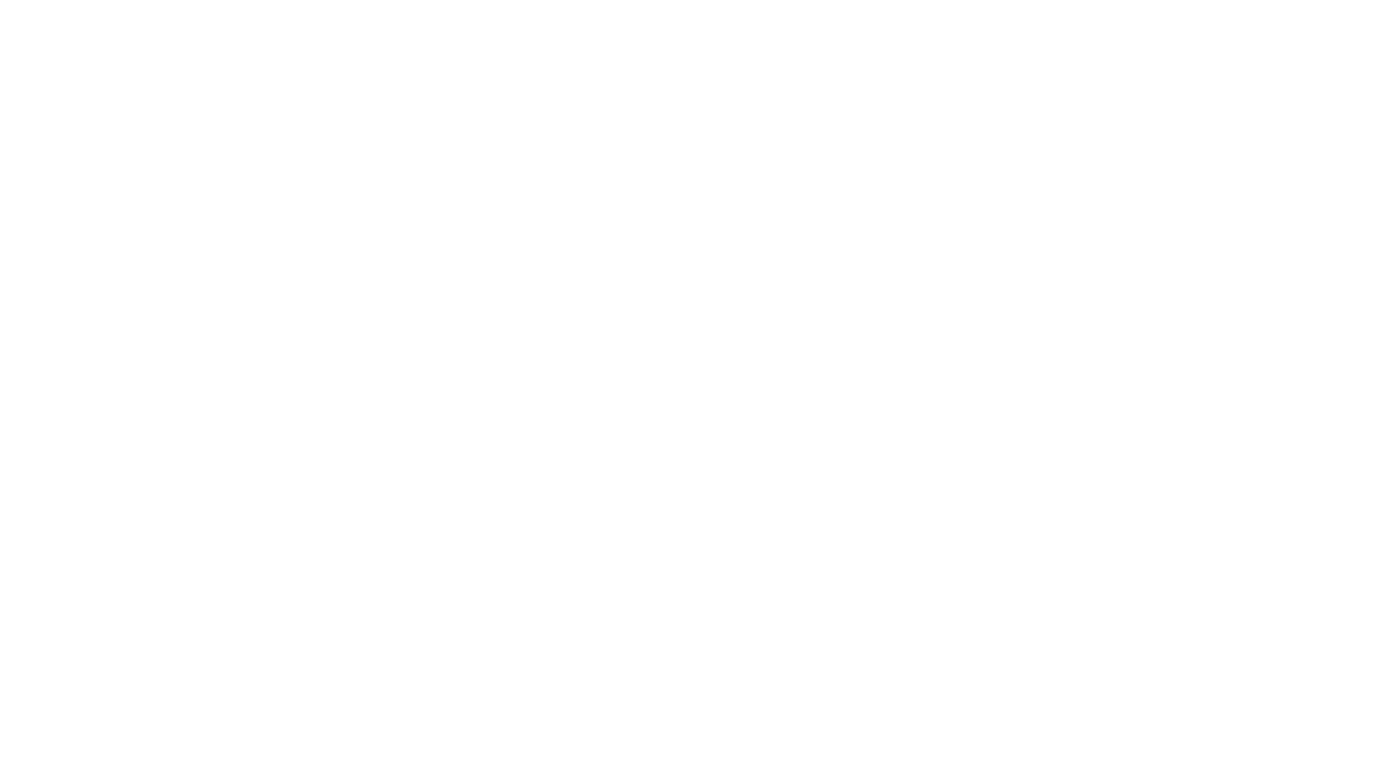 CMA Consconsult